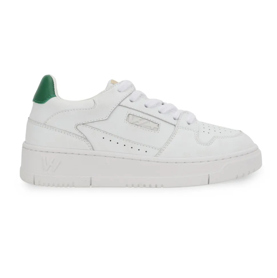 FINESSE - WHITE GREEN-Vintage Havana Outlet